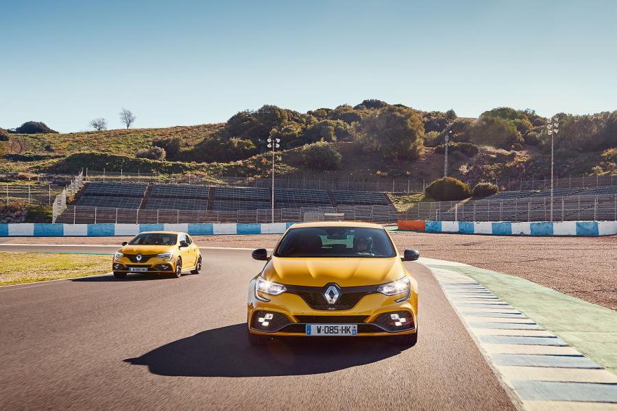  Renault Megane R.S. Cup chassis 2018 года  (WW) (фото 22 из 25)